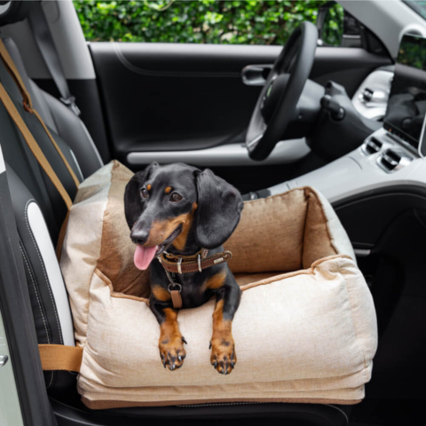 Siège Auto Pour Chien – Confort Et Sécurité En Voiture
