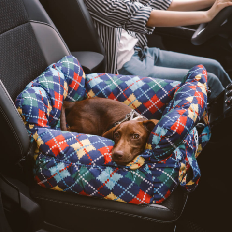 犬用ポータブルバスケット — 家と車での快適さ