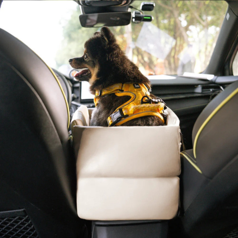 小型犬用自動車用バスケット — 車内の安全と快適さ