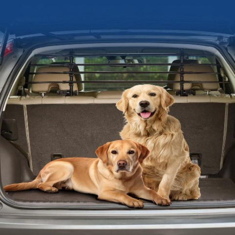 شبكة فصل قابلة للتعديل للسيارة — أمان للحيوانات 