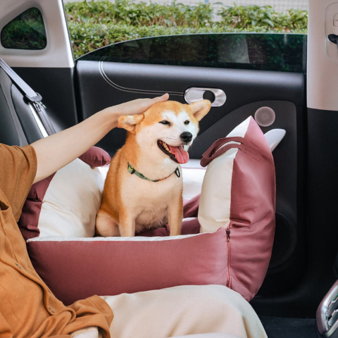 Borsa da Viaggio per Cani – Polivalente e Facile da Trasportare 